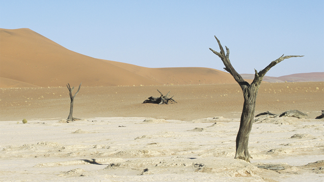 Illustration for article titled Chocolate Lovers, Despair! These Arid Wastelands Have Nary A Hint Of Cocoa As Far As The Eye Can See